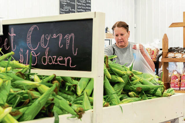 Despite weather, labor challenges, sweet corn is still king for area farmers