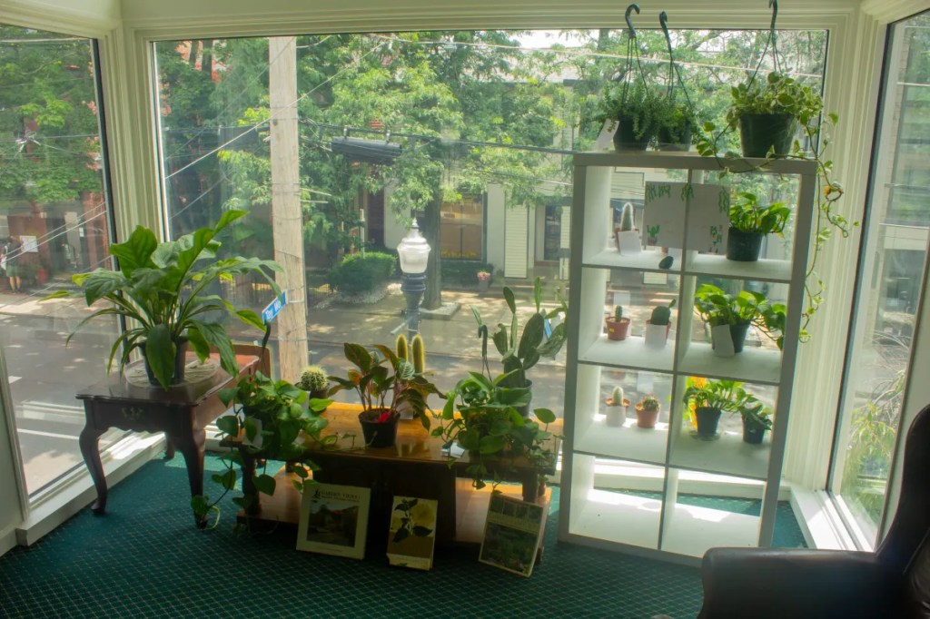Shadyside’s Cozy New Bookstore