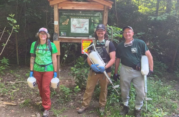 A Land Trust is Fighting Invasive Hemlock Woolly Adelgid in Allegheny County