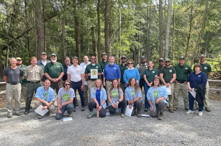A section of Clear Creek State Forest is recognized as old growth