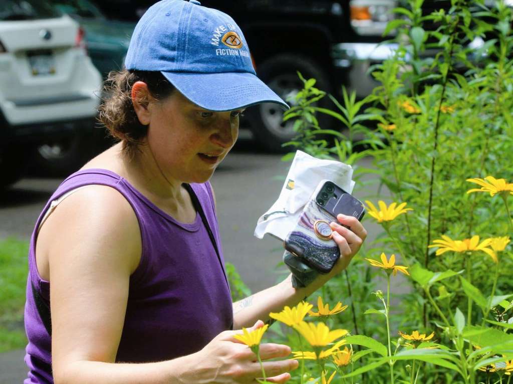 Festival plants seeds of education