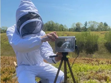 How small temperature shifts lead to more blooms and bees